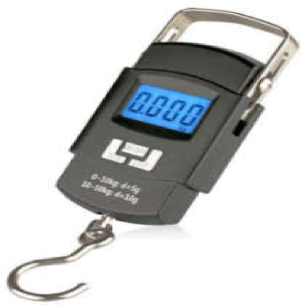 SKY WA08 Portable HangingKitchen Scale - Image 2